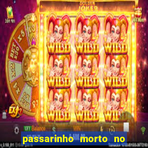 passarinho morto no quintal significado espiritual