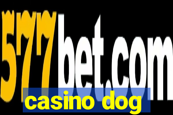 casino dog