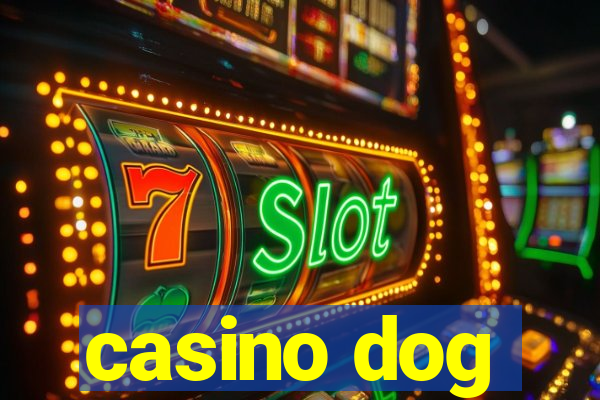 casino dog