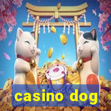 casino dog