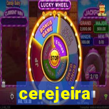 cerejeira