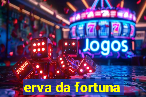 erva da fortuna