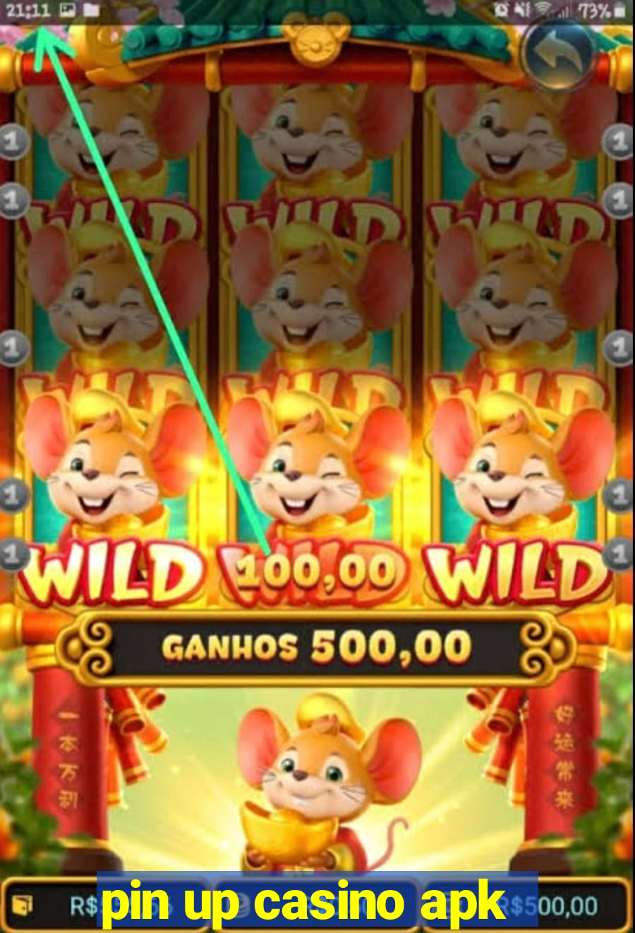 pin up casino apk