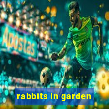 rabbits in garden