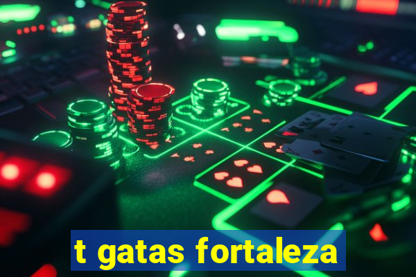 t gatas fortaleza