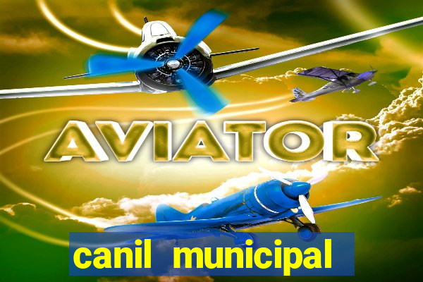 canil municipal porto alegre