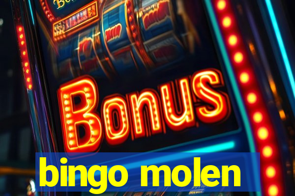 bingo molen