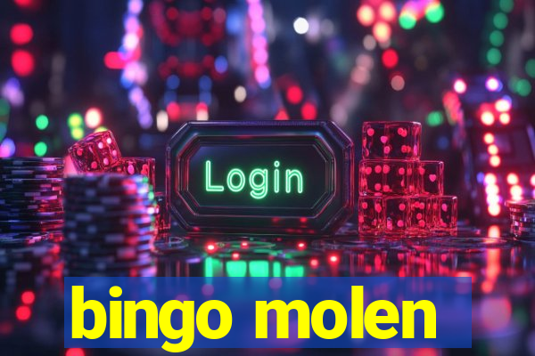 bingo molen