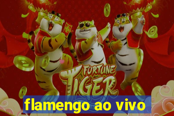 flamengo ao vivo