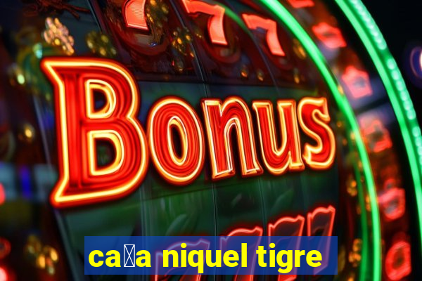 ca莽a niquel tigre