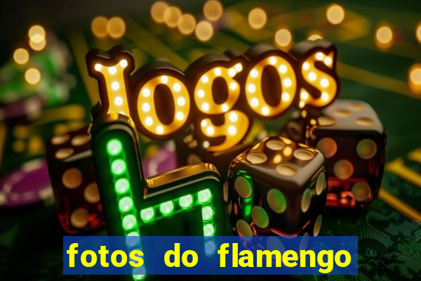 fotos do flamengo para perfil