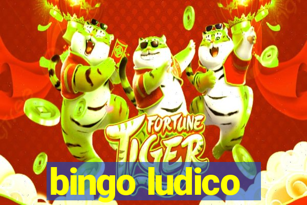 bingo ludico