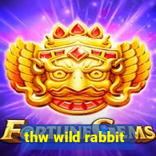 thw wild rabbit