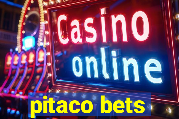 pitaco bets