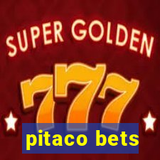 pitaco bets