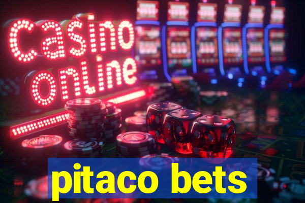 pitaco bets