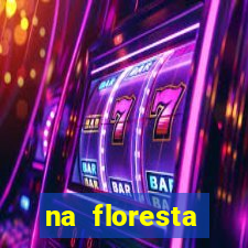 na floresta encantada meme