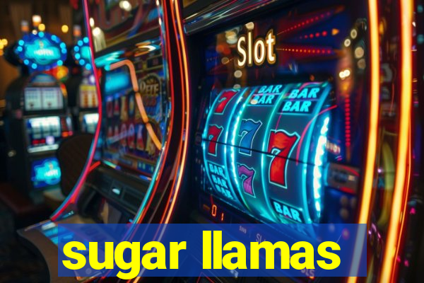 sugar llamas