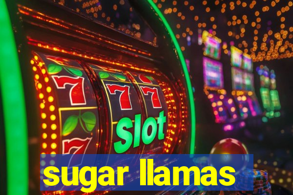 sugar llamas