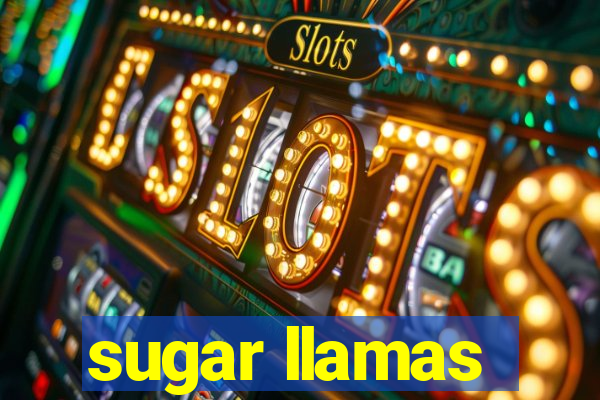 sugar llamas