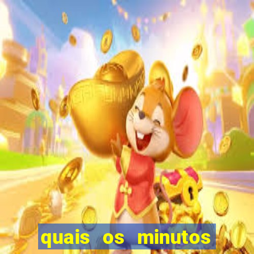 quais os minutos pagantes do rabbit