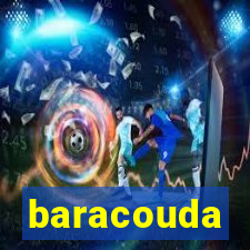 baracouda