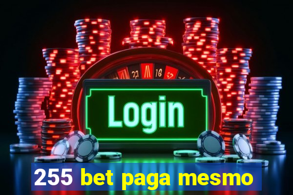 255 bet paga mesmo