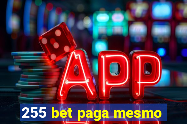 255 bet paga mesmo