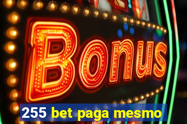 255 bet paga mesmo