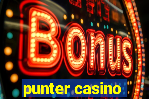 punter casino