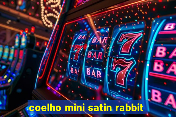 coelho mini satin rabbit