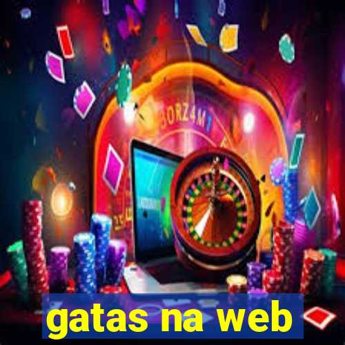 gatas na web