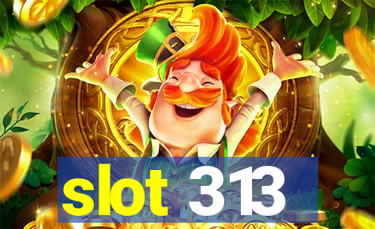 slot 313