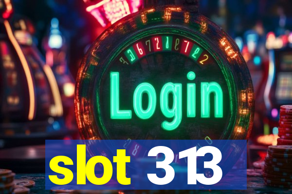 slot 313