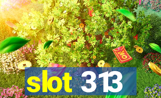 slot 313