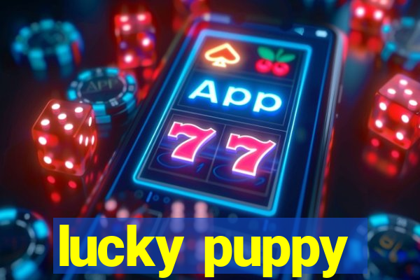 lucky puppy