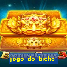 jogo do bicho online ganhar dinheiro