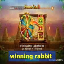 winning rabbit