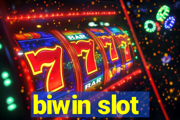 biwin slot